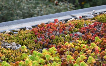 the cost of Eckworthy green roof installation
