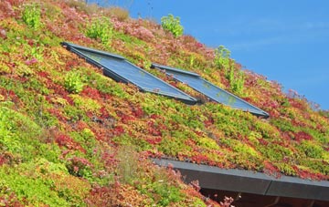 Eckworthy living roof systems