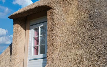 Eckworthy thatch roof disadvantages