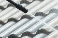 rated Eckworthy roof cleaning companies